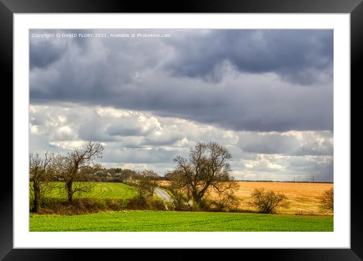 Suffolk Skies Framed Mounted Print by DAVID FLORY