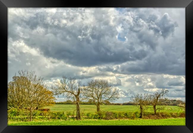 Suffolk Skies Framed Print by DAVID FLORY