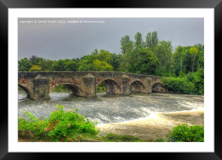 Bickleigh Bridge Framed Mounted Print by DAVID FLORY