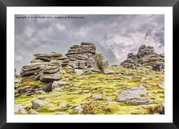 Storm brewing over Hound Tor Framed Mounted Print by DAVID FLORY