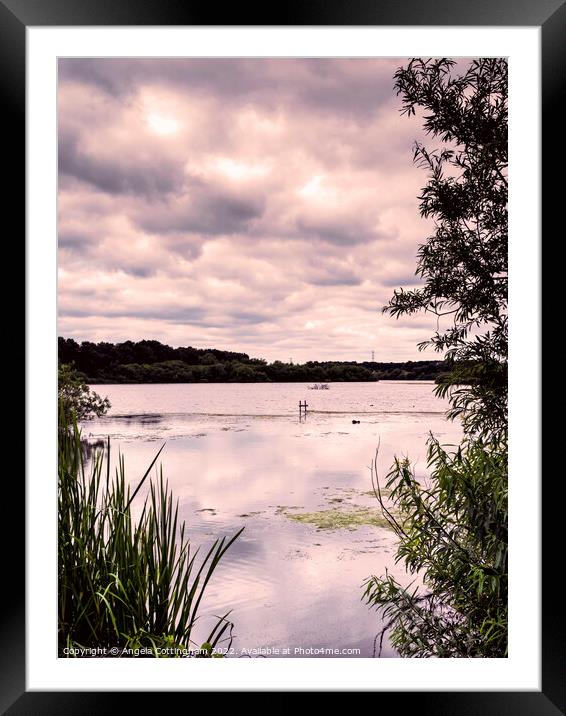 Reflected Clouds Framed Mounted Print by Angela Cottingham