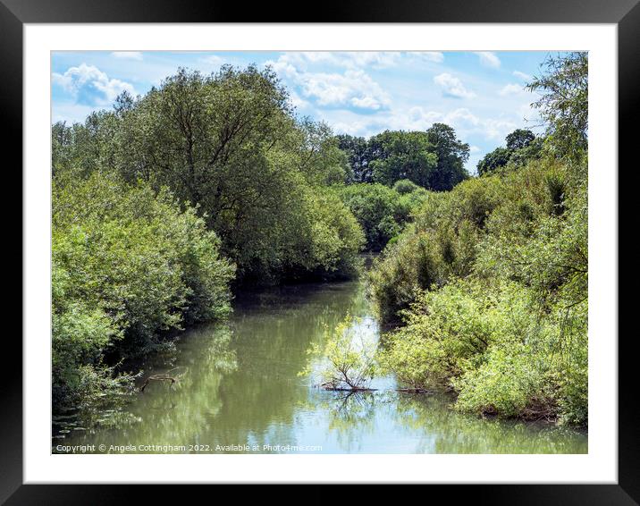 River Derwent at Wheldrake Ings Framed Mounted Print by Angela Cottingham