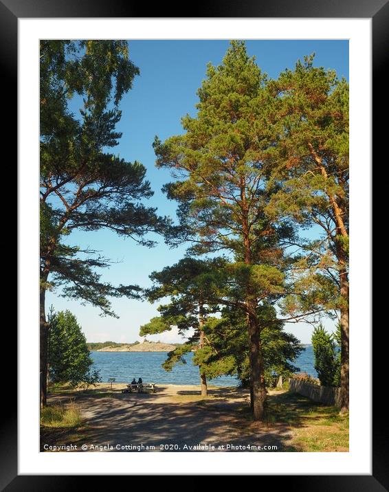 View from Sandhamn Framed Mounted Print by Angela Cottingham