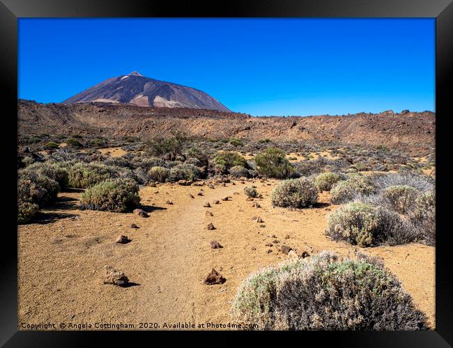 View of Mount Teide, Tenerife Framed Print by Angela Cottingham