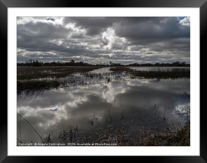 Wetlands at Wheldrake Framed Mounted Print by Angela Cottingham