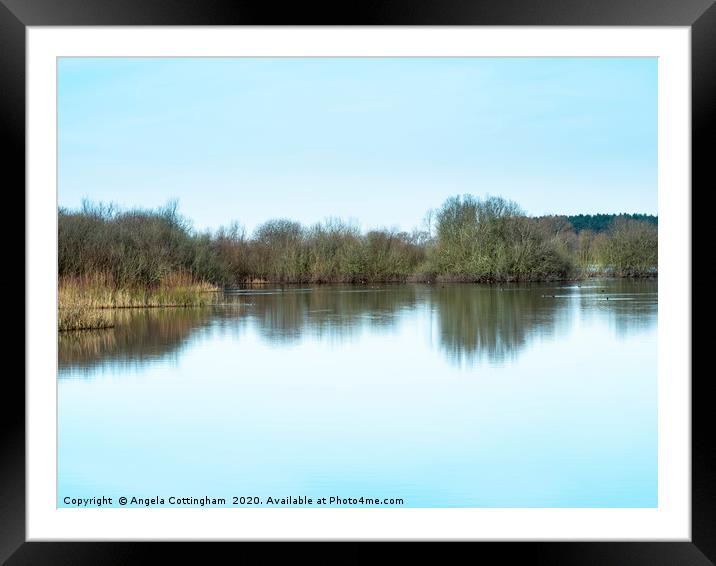 Calm Day at Wheldrake Ings Framed Mounted Print by Angela Cottingham