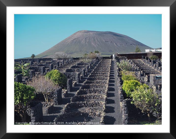 Vineyard and Volcano, Lanzarote Framed Mounted Print by Angela Cottingham