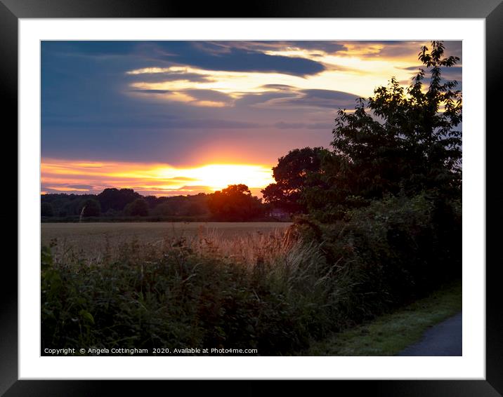 Sunset Over the Fields Framed Mounted Print by Angela Cottingham