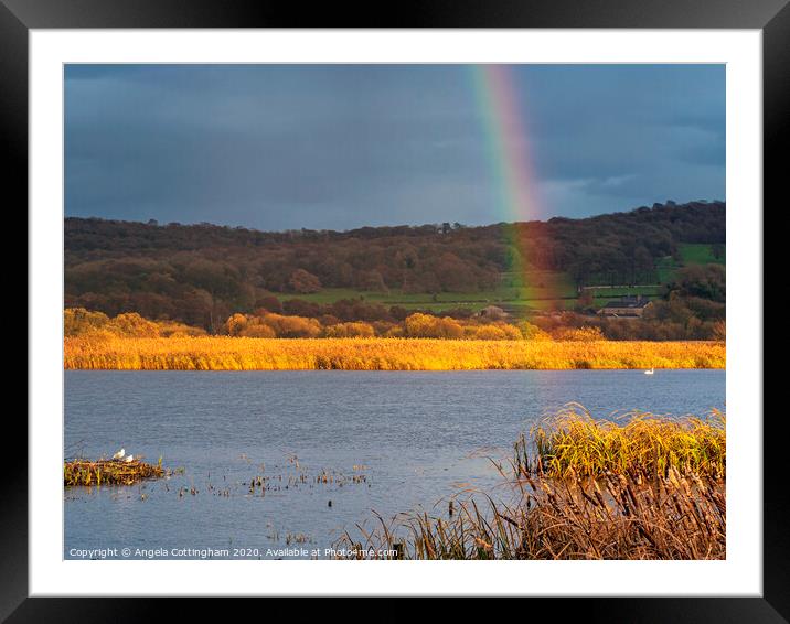 Rainbow at Leighton Moss Framed Mounted Print by Angela Cottingham