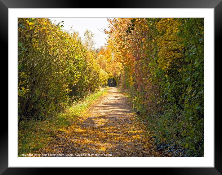 Autumn Hedgerow Framed Mounted Print by Angela Cottingham