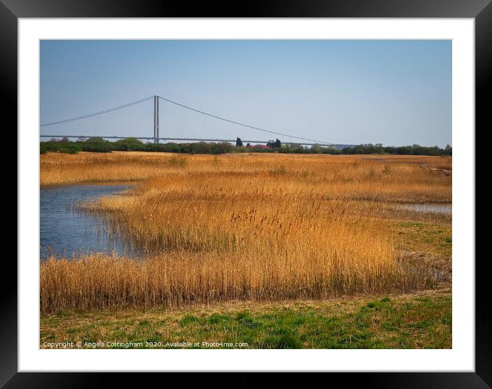 View from a Hide Framed Mounted Print by Angela Cottingham