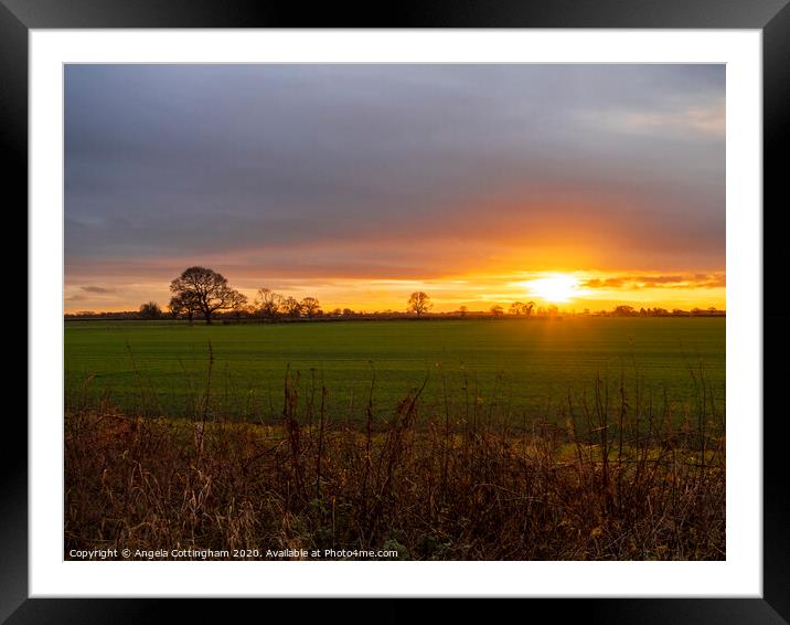 Just Before Sunset Framed Mounted Print by Angela Cottingham
