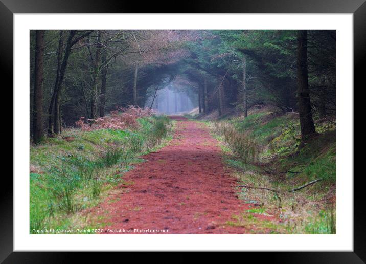 Colorful Winding Path at Dalby Forst with Winter Trees Framed Mounted Print by Lewis Gabell