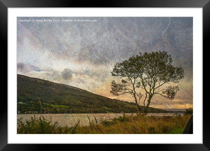 Rothesay tree Framed Mounted Print by Aimie Burley