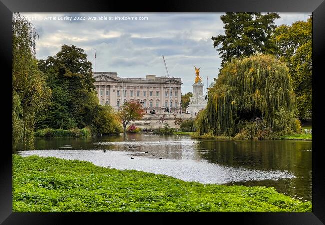 Palace from the Park Framed Print by Aimie Burley