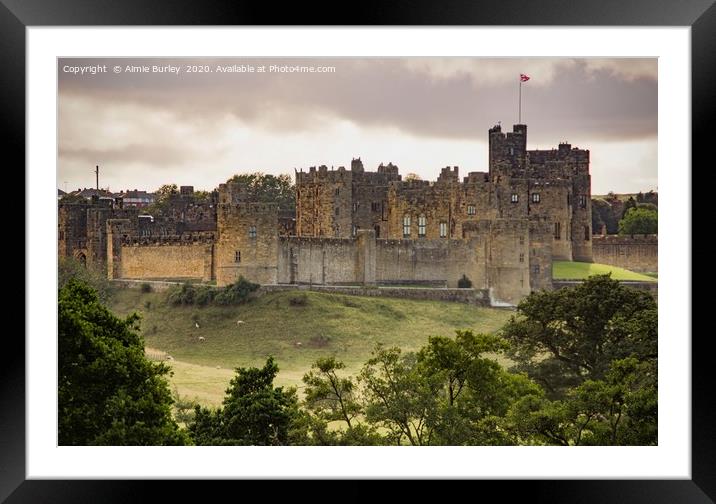 Alnwick Castle Framed Mounted Print by Aimie Burley