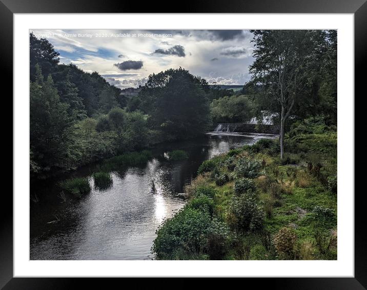 River Aln, Alnwick Framed Mounted Print by Aimie Burley