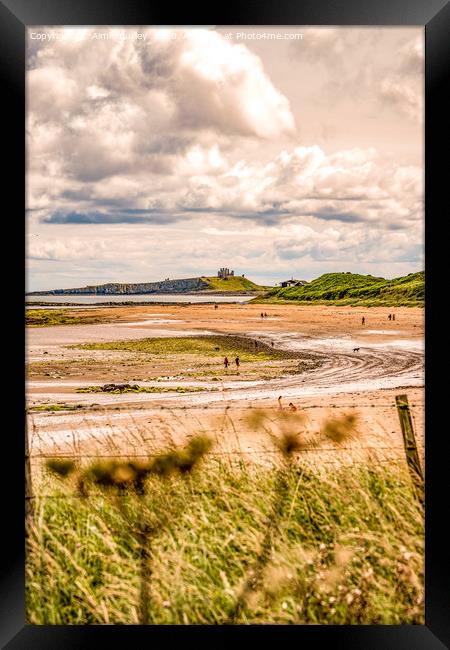 Low Newton, Northumberland  Framed Print by Aimie Burley