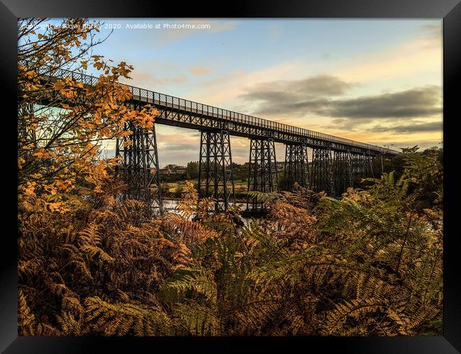 Autumn in Northumberland, Wansbeck Framed Print by Aimie Burley