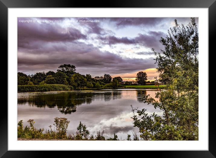 Lake at sunrise Framed Mounted Print by Aimie Burley