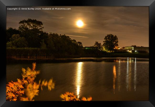 Golden moon over the lake Framed Print by Aimie Burley
