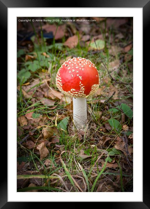 Faberge Toadstool Framed Mounted Print by Aimie Burley