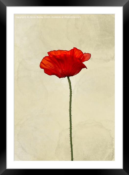 Poppy Framed Mounted Print by Aimie Burley