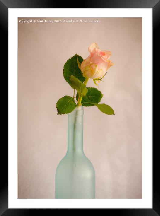 Rose in Bottle Framed Mounted Print by Aimie Burley
