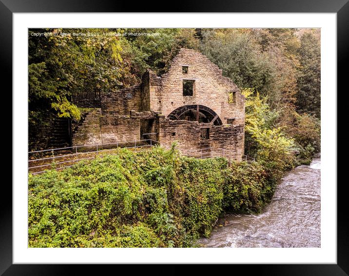 The Mill Framed Mounted Print by Aimie Burley
