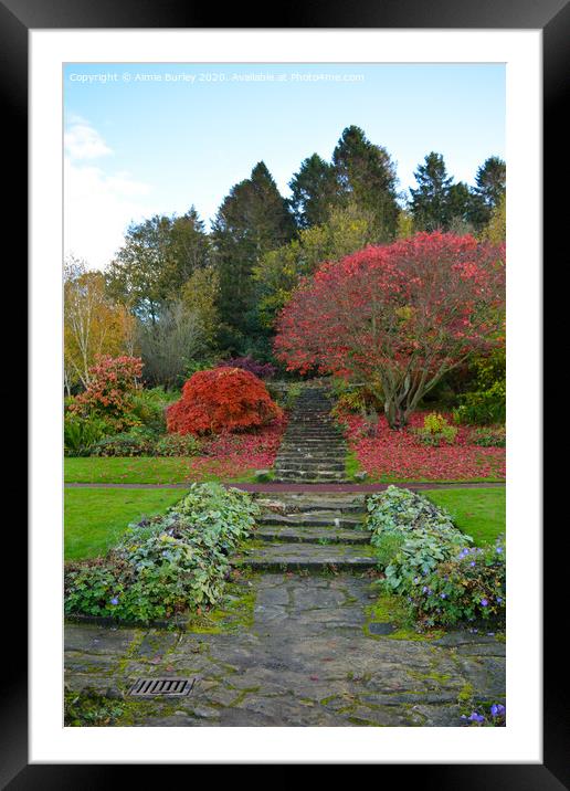 Morpeth in the autumn  Framed Mounted Print by Aimie Burley