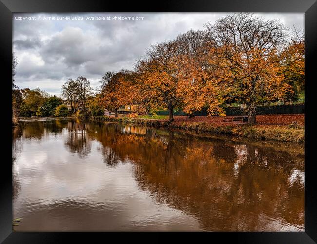 River wansbeck, Morpeth   Framed Print by Aimie Burley