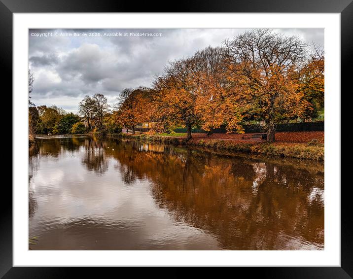 River wansbeck, Morpeth   Framed Mounted Print by Aimie Burley