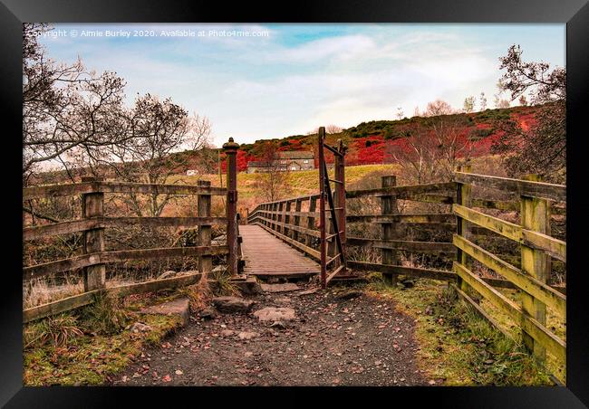 Forest-in-Teesdale  Framed Print by Aimie Burley