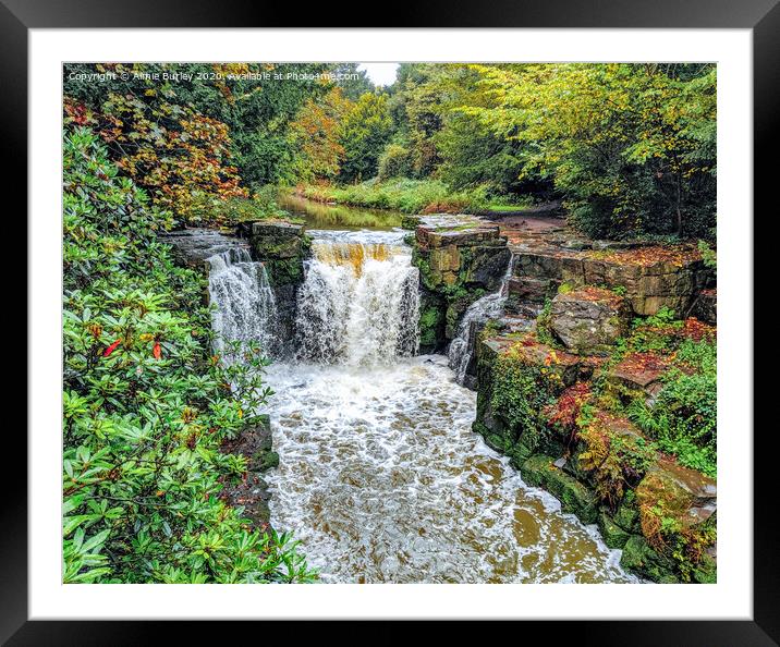 Jesmond Dene Falls  Framed Mounted Print by Aimie Burley