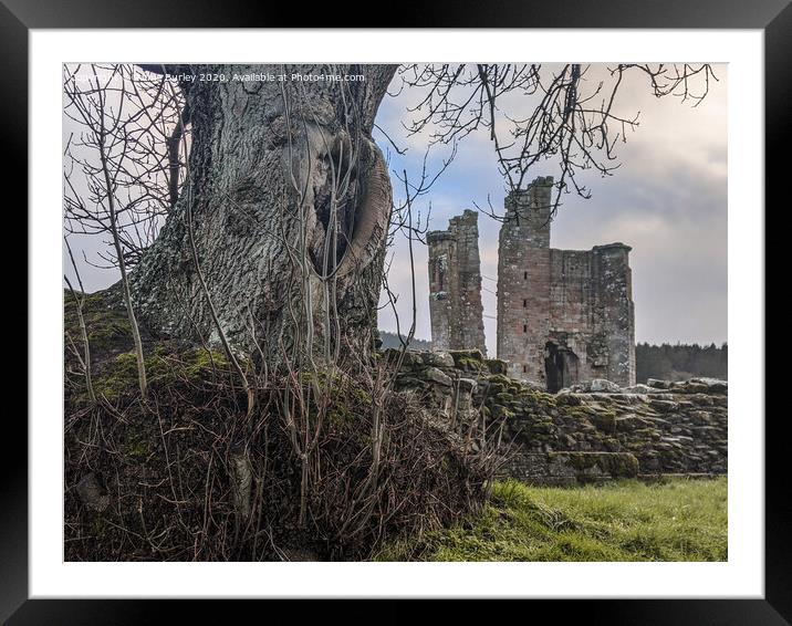 Tree and Castle   Framed Mounted Print by Aimie Burley