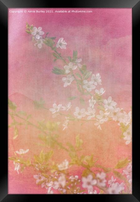 White blossom, portrait version Framed Print by Aimie Burley