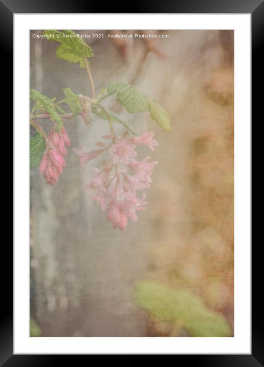 Soft flowers Framed Mounted Print by Aimie Burley