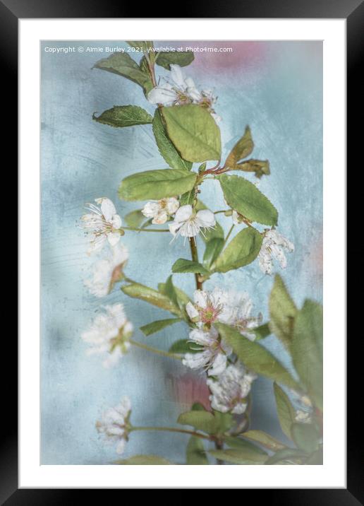 White blossom Framed Mounted Print by Aimie Burley