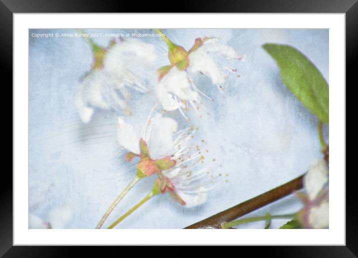 Blossom close up Framed Mounted Print by Aimie Burley