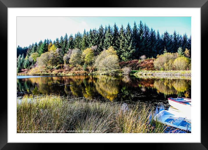Autumn reflections Framed Mounted Print by Liam Thompson
