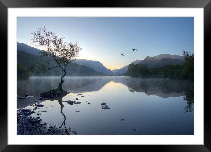 Llyn Padarn Reflections Framed Mounted Print by Ann Goodall