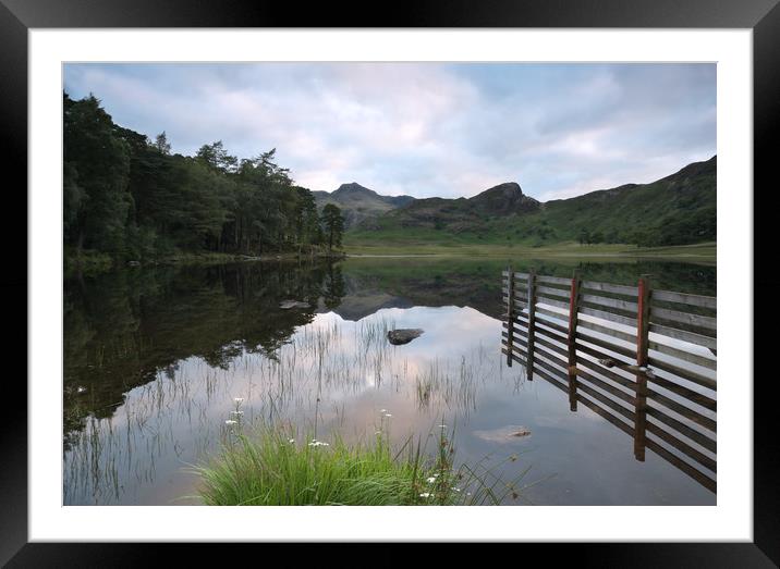 Blea Tarn's Langdale reflections #1 Framed Mounted Print by Ann Goodall