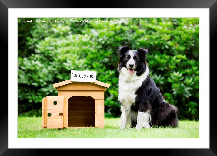 Sheepdog standing beside dog house  Framed Mounted Print by conceptual images