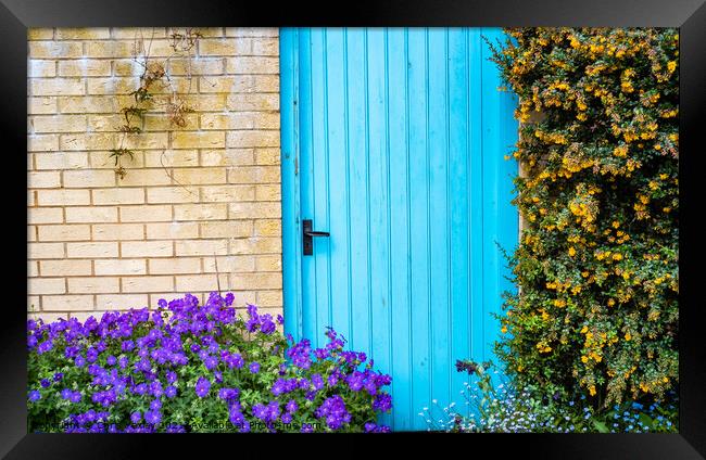 Blue door surrounded by flowers on the bank of the River Wensum, Norwich Framed Print by Chris Yaxley