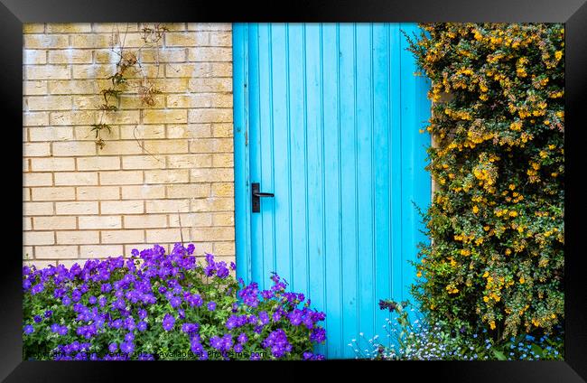 Blue door, Norwich Framed Print by Chris Yaxley
