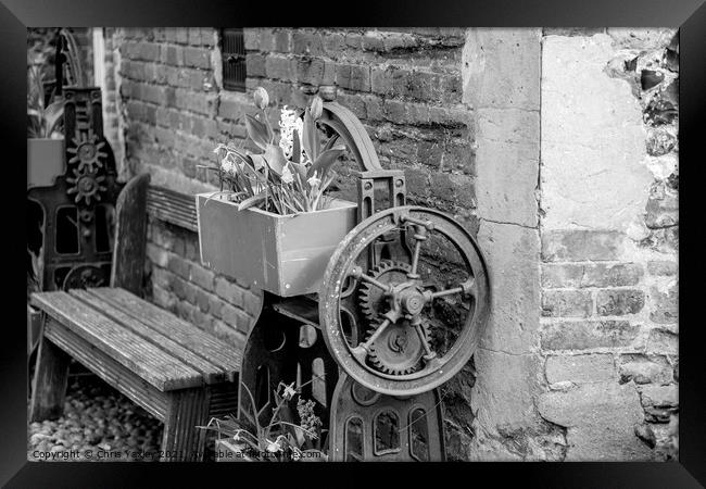 Outdoor plants and wooden bench Framed Print by Chris Yaxley