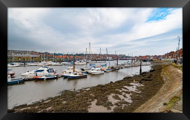 Boats in Whitby Marina Framed Print by Chris Yaxley