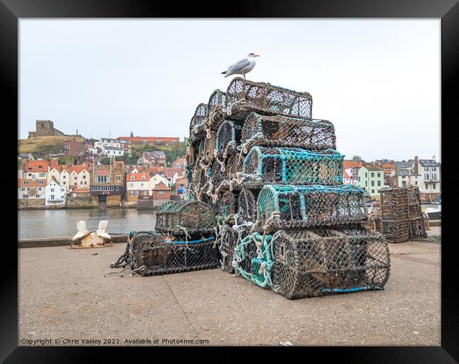 Fishing pots in Whitby Harbour Framed Print by Chris Yaxley