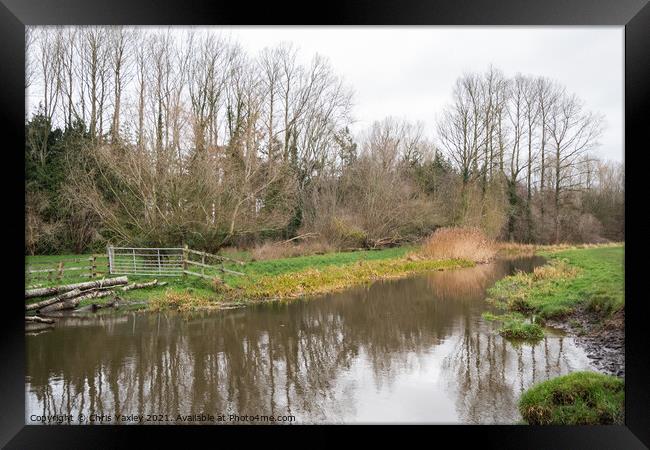 River Bure in Buxton, Norfolk Framed Print by Chris Yaxley