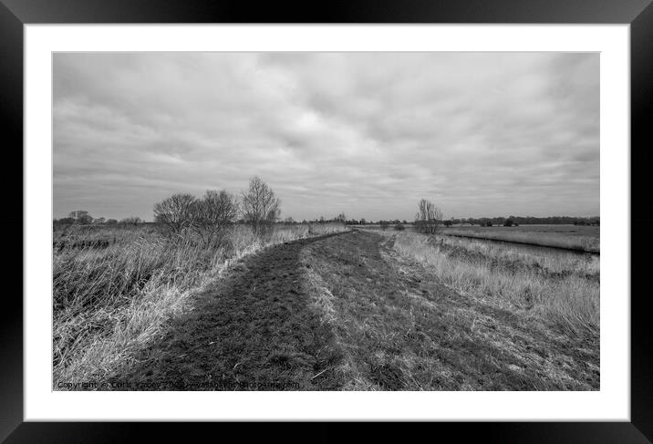 Rural footpath in the Norfolk countryside Framed Mounted Print by Chris Yaxley